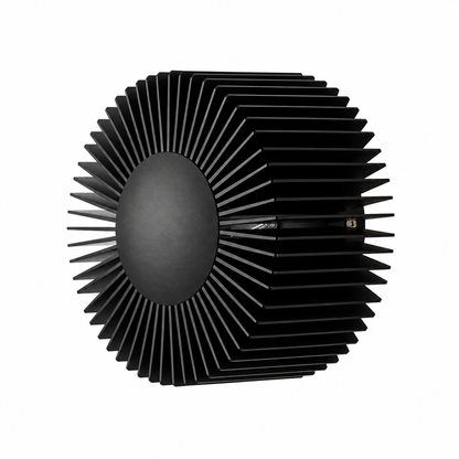 Solara Wall Light